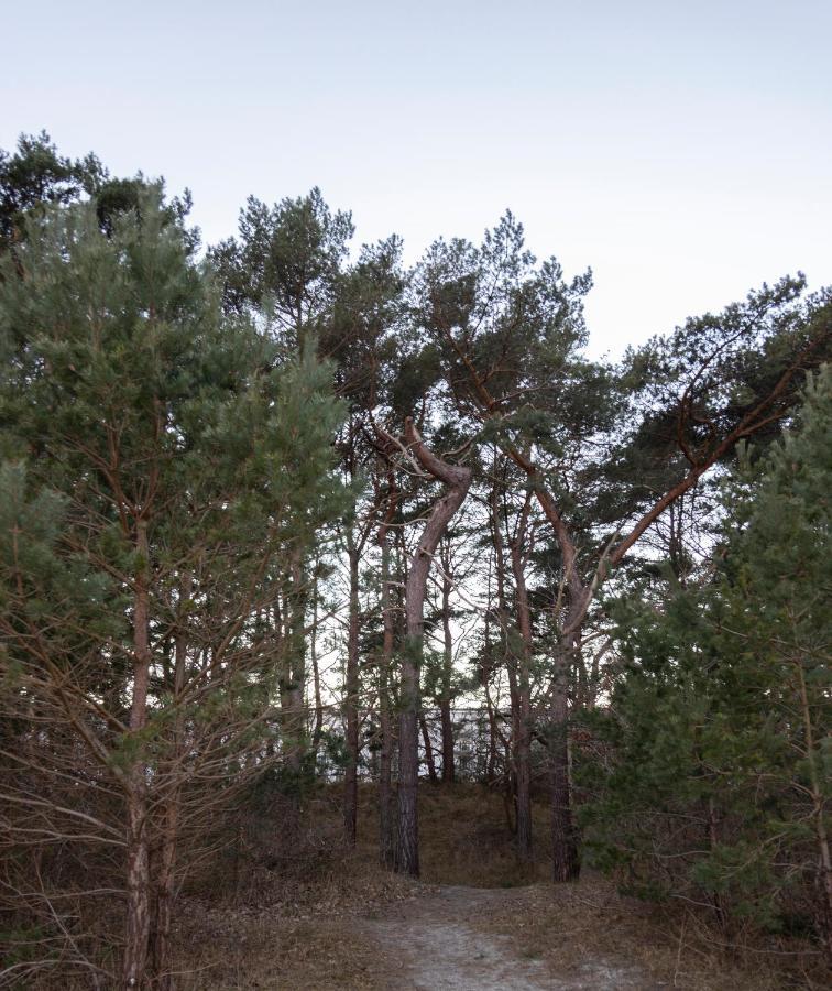 Luxus-Maisonette Fuer Die Grosse Familie Mit Direktem Strandzugang Binz Zewnętrze zdjęcie